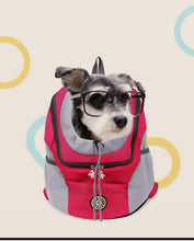 Load image into Gallery viewer, Petsy Pet Carrier Backpack